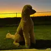Toby Bubba Brown - @toby.bubba.brown - TikTok