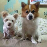Toby Bryan & Chloe Mitch - @tobyandmitch - Instagram