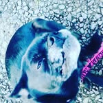 Toby Burge - @tobymax101 - Instagram
