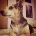 Toby Butterfield - Facebook