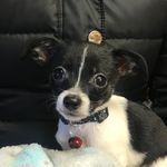 Toby - @_toby_carter - Instagram