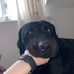 Toby Chambers - Facebook
