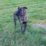 Toby - @toby.chambers.7927 - Instagram