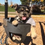 Toby👅 - @champagnetob.y - Instagram