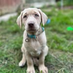 Toby - @toby_champagne_lab - Instagram