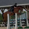 🐴Toby&chance🐴 - @chancelover500 - TikTok