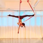 𝒯𝓸𝒷𝓎 𝒸𝒽𝓸𝓌🦋 - @tobyyoga.hk - Instagram