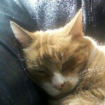 @toby_clements12 - Instagram