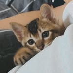𝕋𝕠𝕓𝕪 & ℂ𝕠𝕕𝕪 - @toby_cody_wuuuu - Instagram