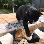 Toby Crosby - @mrtobycrosby - Instagram