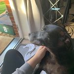 Toby Cummings - @_tby_1829 - Instagram