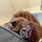 Tobias - @toby__day - Instagram