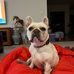Toby A Day - Facebook