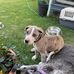 Toby Day - Facebook