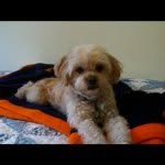 @toby_decker2012 - Instagram