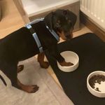 Toby - @toby_deck - Instagram