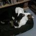 Toby Dixon - Facebook