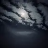 Toby Dixon - @toby.dixon - TikTok