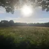 tobydixon3670 - @tobydixon3670 - TikTok