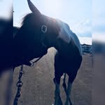 sierra - @toby.doeke.101 - Instagram