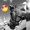 Toby doeke and daway - @toby.doeke.deway - TikTok