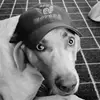 Toby Douglass476 - @tobydouglass476 - TikTok