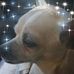 Toby Duran - Facebook