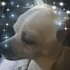 Toby Duran - @tobyduran837 - TikTok