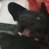 Toby Duran Araya - @tobyduranaraya - TikTok