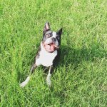 Toby Mango Duran - @toby_mango_duran - Instagram