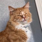 Toby Egan - @totally_tobyyy - Instagram