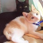 Everett + Toby - @everettandtoby - Instagram