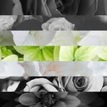 Toby Everett E. - @jellybean_poetry - Instagram