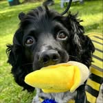 Toby Farr - @tubs84181 - Instagram