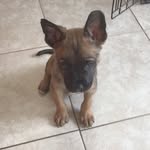 Toby Farrell - @tobyfarrell - Instagram
