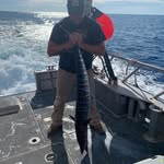Toby Farrington - @toby.farrington.50 - Instagram