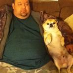 Toby Flinta - Facebook