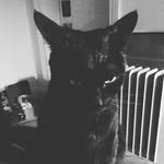 Toby Frank - @cultoftoby - Instagram