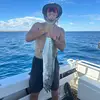 __tobyfranklinn - @__tobyfranklinn - TikTok
