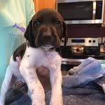 Toby Franklin - @it_me_toby - Instagram