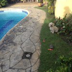 Toby Gomez - @tobygomez - Instagram