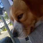 Toby Gomez - @toby_1117m - Instagram