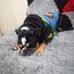 Toby Gomez - Facebook