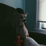 Toby Grant - @tobygrant9 - Instagram