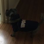 Toby Grant - @tobygrant8462 - Instagram