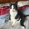 Toby Gray - @tobygraythelegend - TikTok
