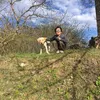 toby mosiashvili - @tobyhacker - TikTok