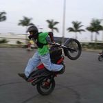 TOBY - @toby.haynes.gzt - Instagram