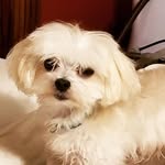 Toby - @hensley.toby - Instagram