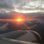 Toby - @toby.preston.hines - Instagram